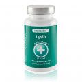 AMINOPLUS Lysin plus Vitamin C Kapseln